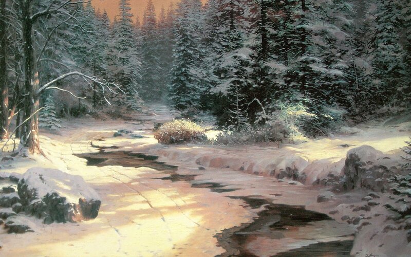 Winter forest stream