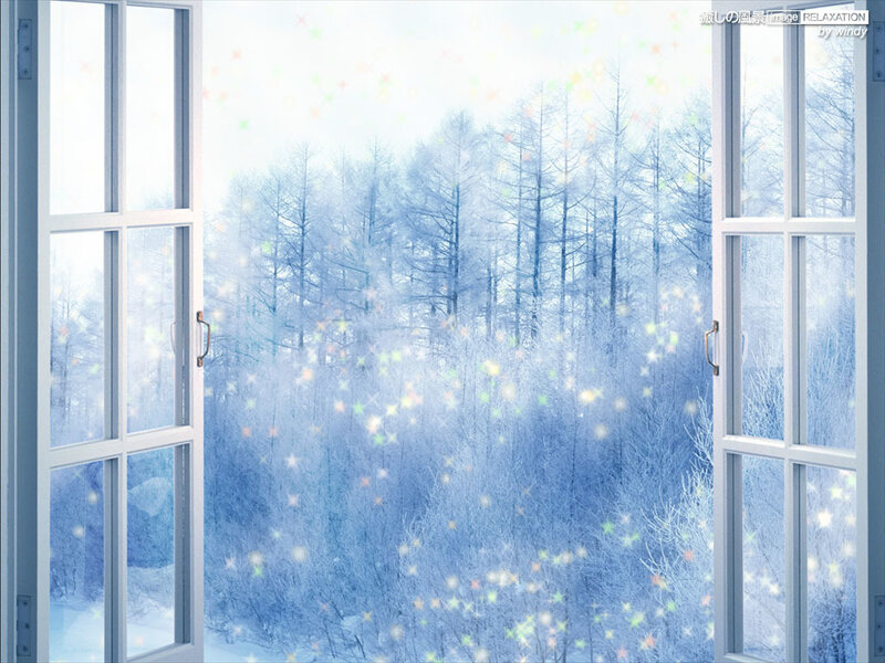 Winter forest view from window
