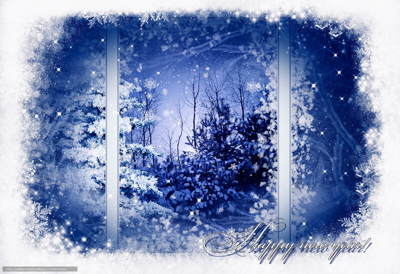 Winter forest view