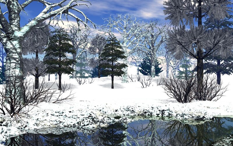 Winter forest with pond