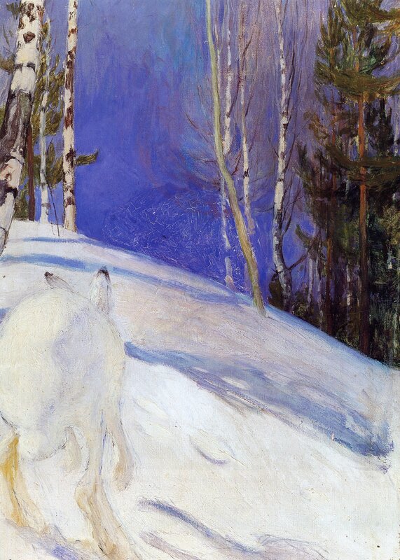 Winter forest with white wolf