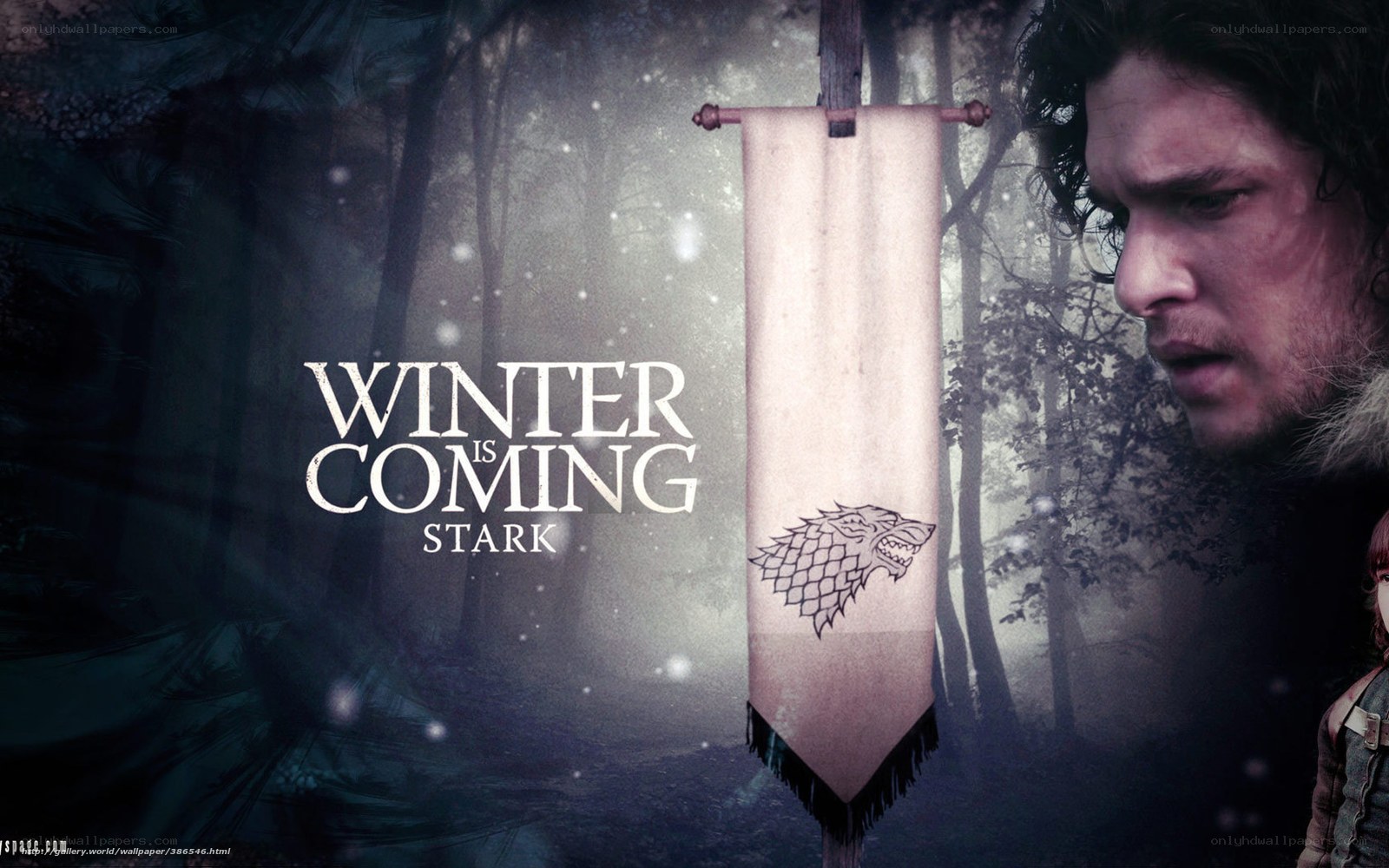 Winter is Coming Stark
