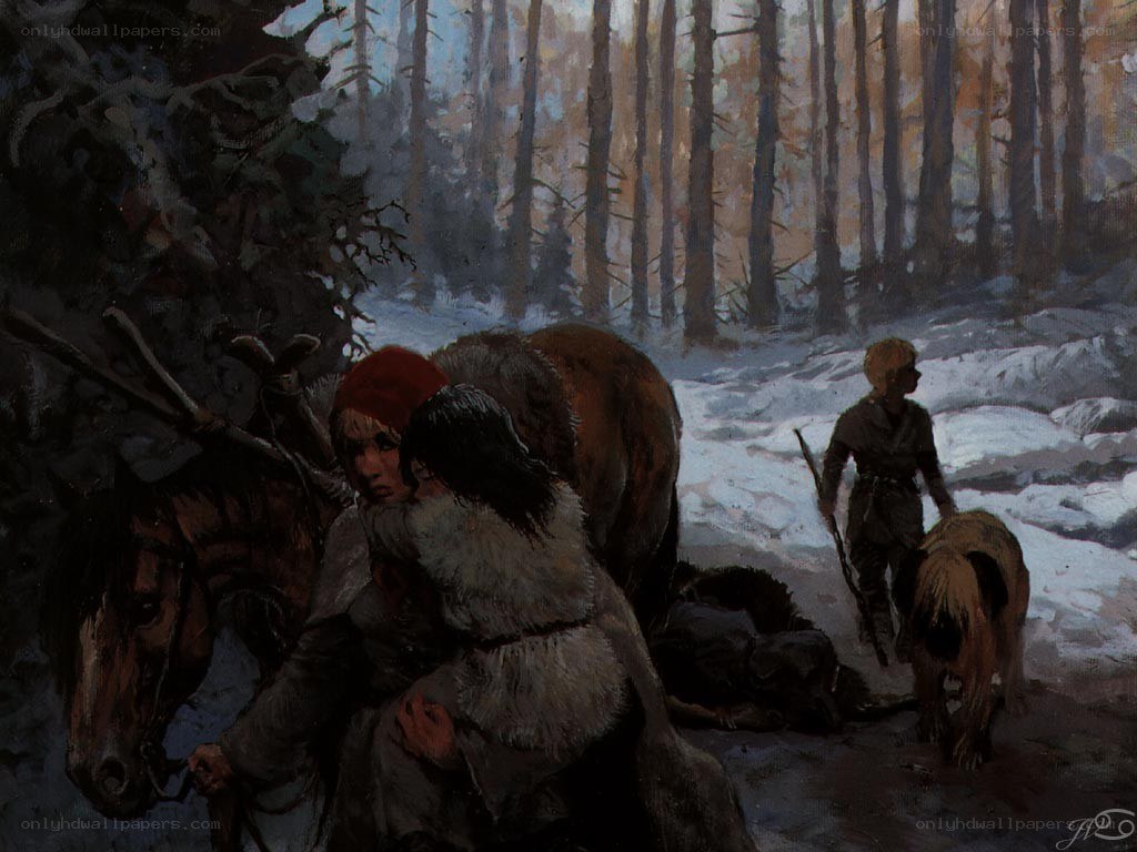 Winter journey in the forest
