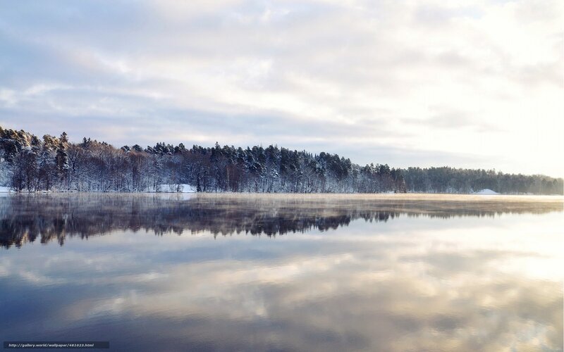 Winter lake with forest reflection