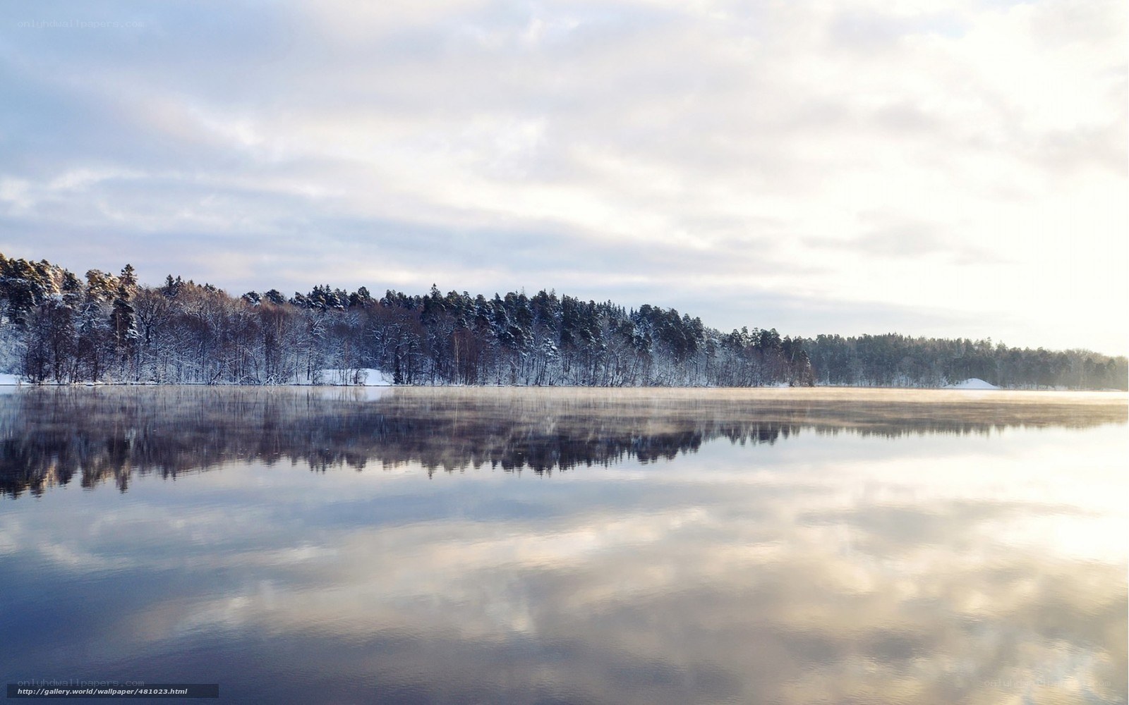 Winter lake with forest reflection