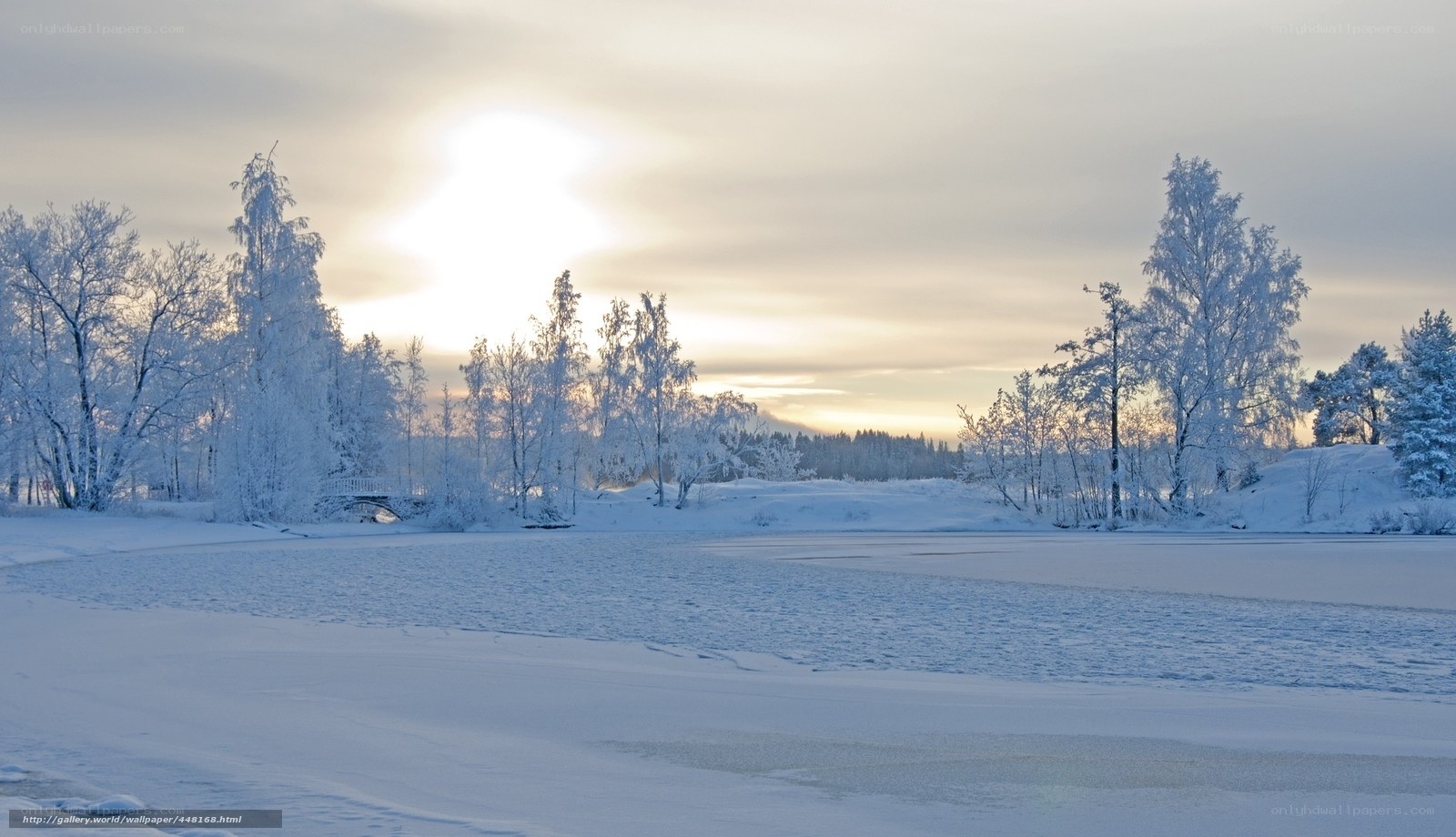 Winter landscape at sunrise