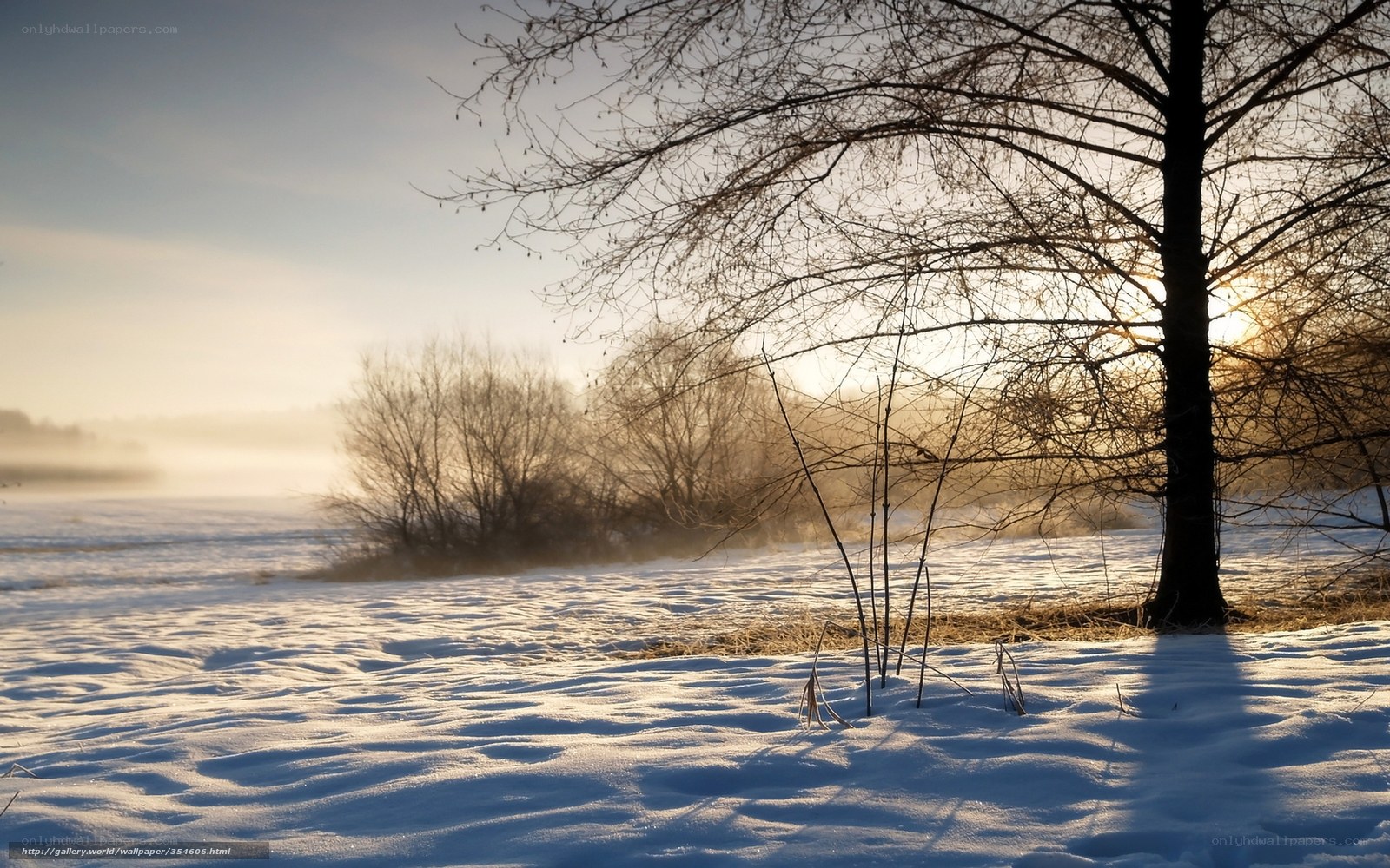 Winter landscape at sunrise