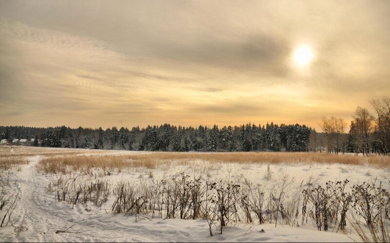 Winter landscape at sunset