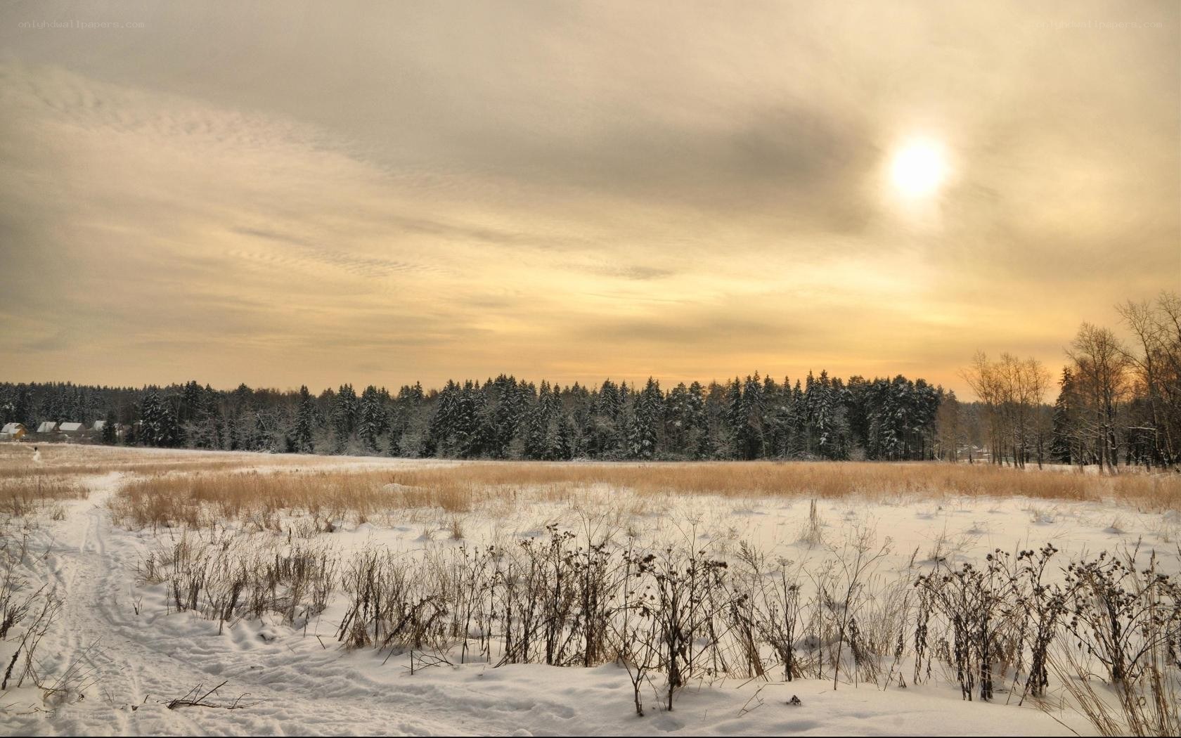 Winter landscape at sunset