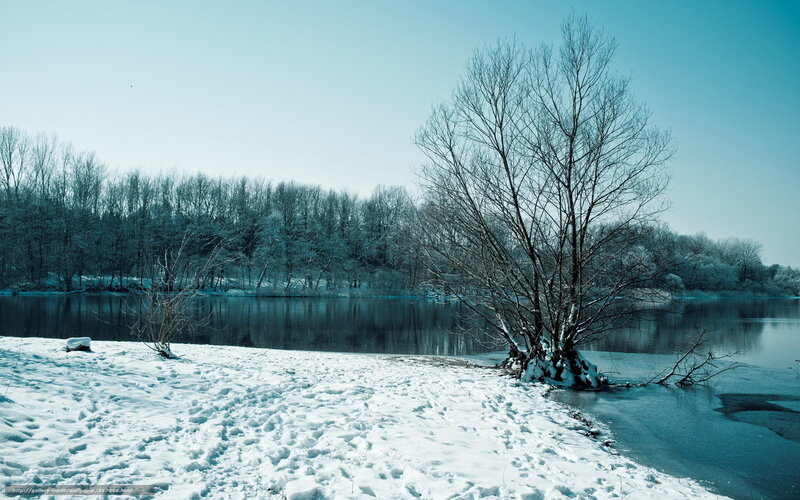 Winter landscape by a river
