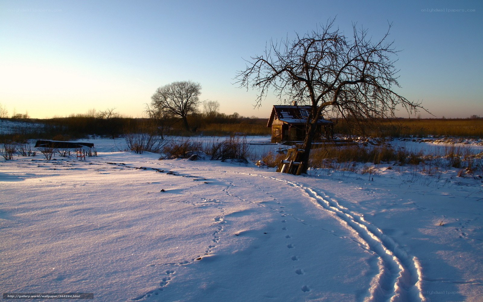 Winter landscape with cabin