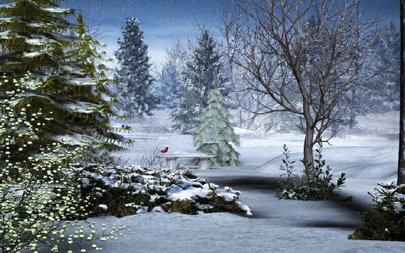 Winter landscape with cardinal
