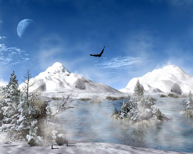 Winter landscape with eagle