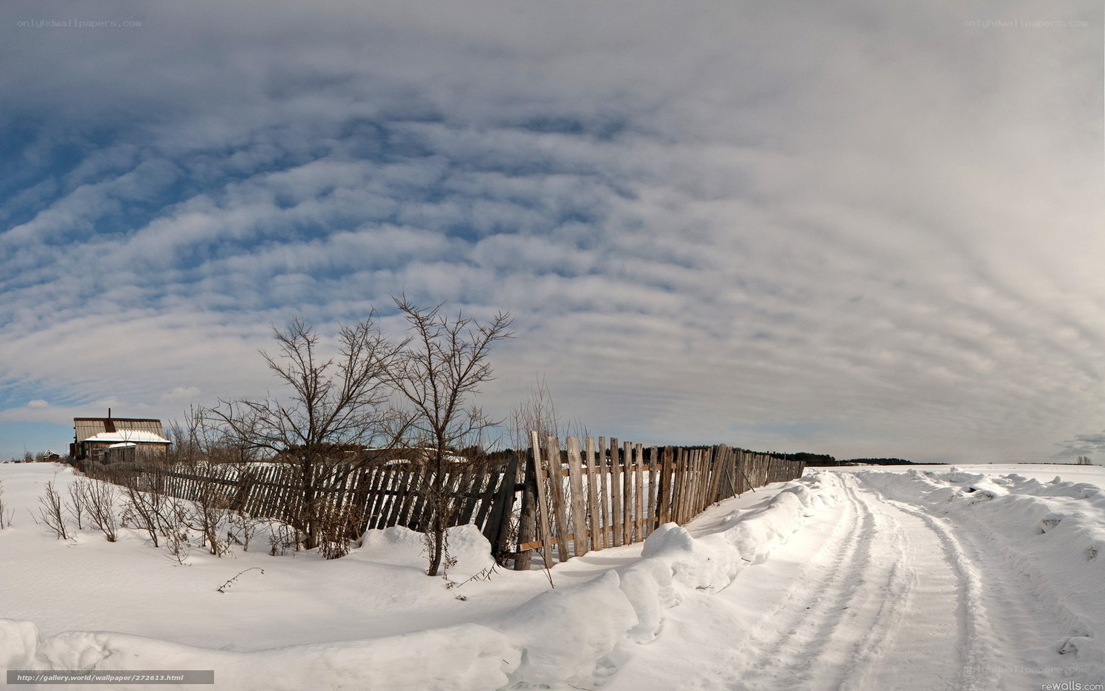 Winter landscape with fence