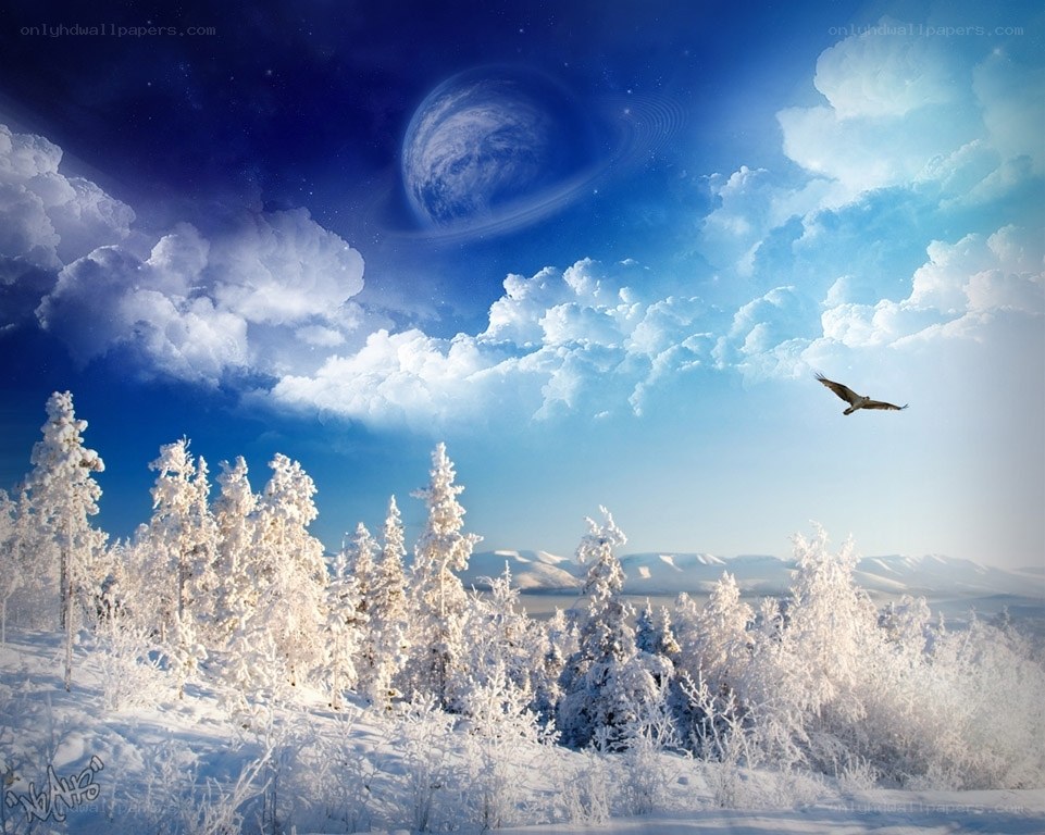 Winter landscape with flying bird