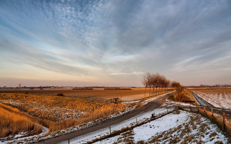Winter landscape with snowy fields