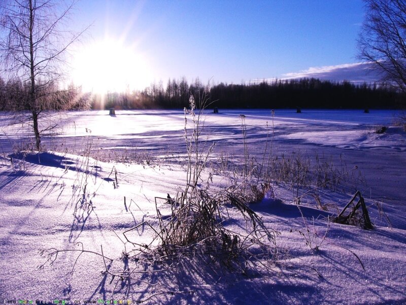 Winter landscape with sun