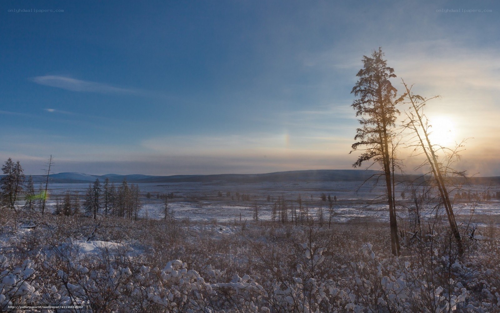 Winter landscape with sun halo
