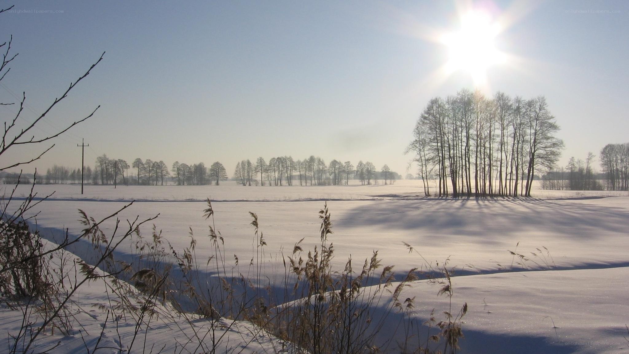 Winter landscape with sun