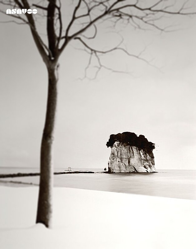 Winter landscape with tree and rock