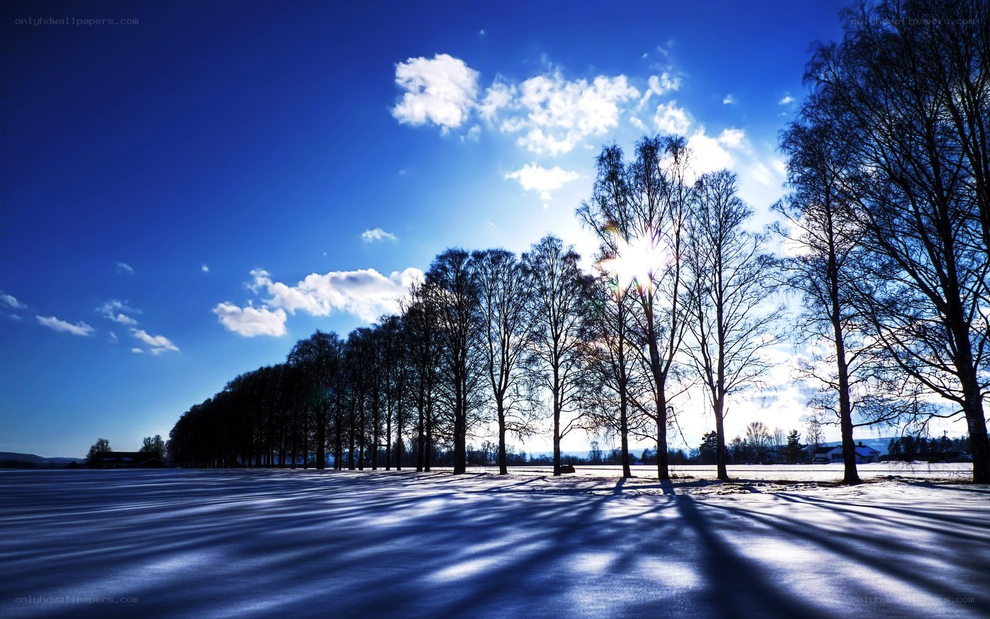 Winter landscape with tree shadows
