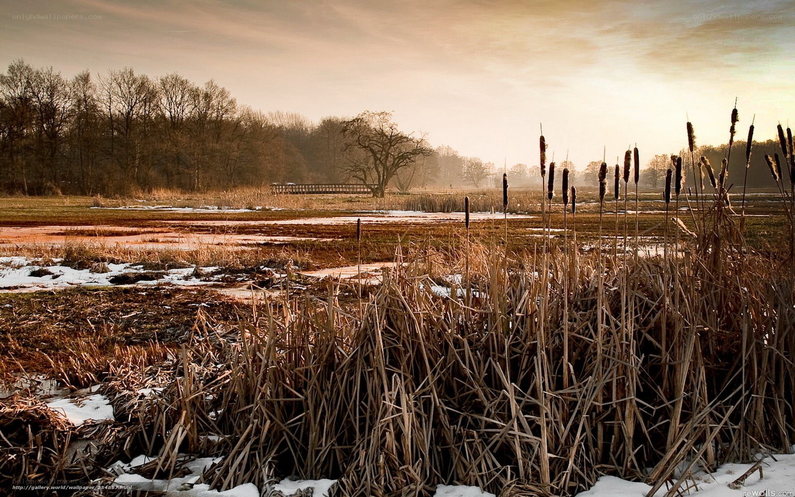 Winter marsh at sunrise