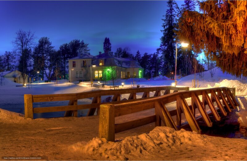 Winter night by the bridge