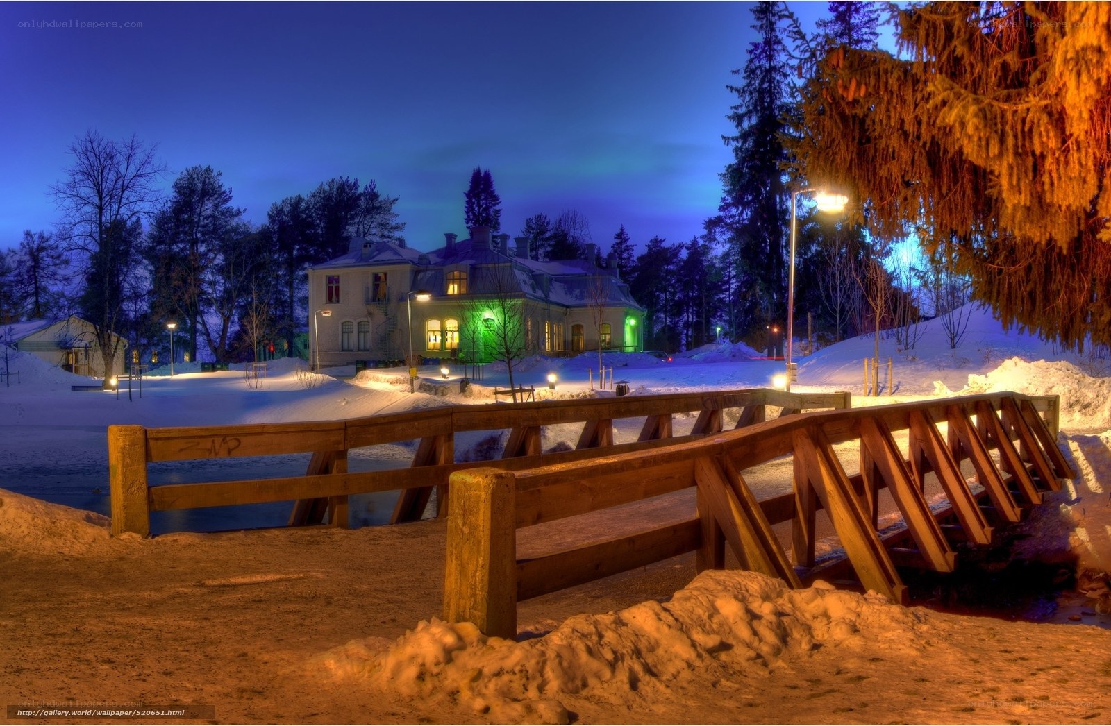 Winter night by the bridge
