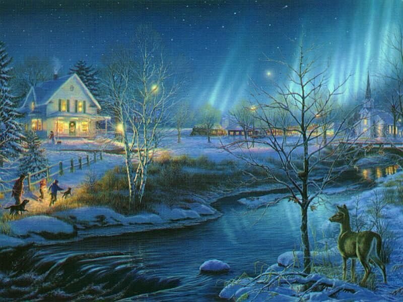 Winter night with aurora borealis