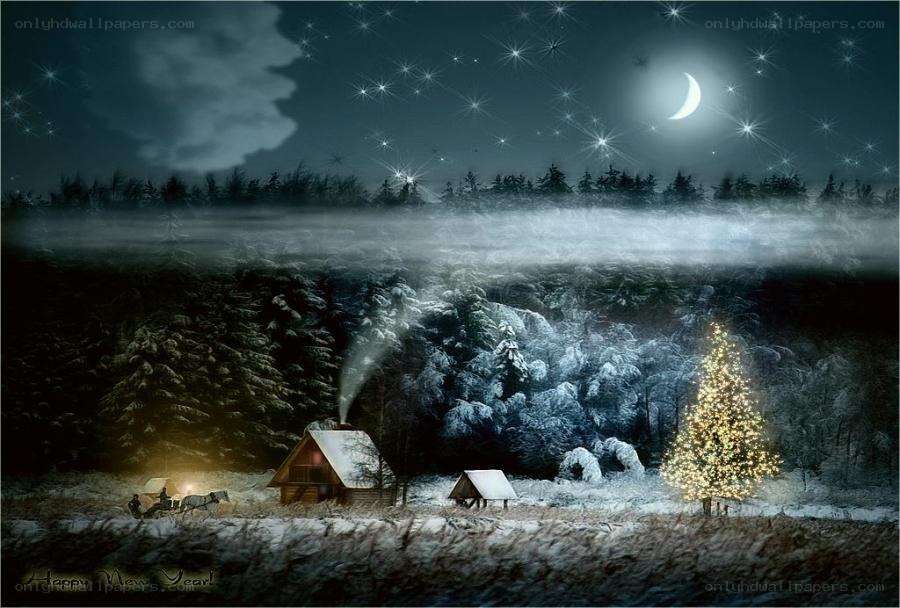 Winter night with Christmas tree