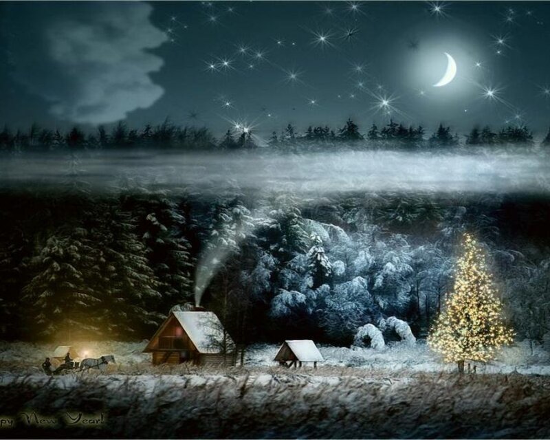 Winter night with Christmas tree