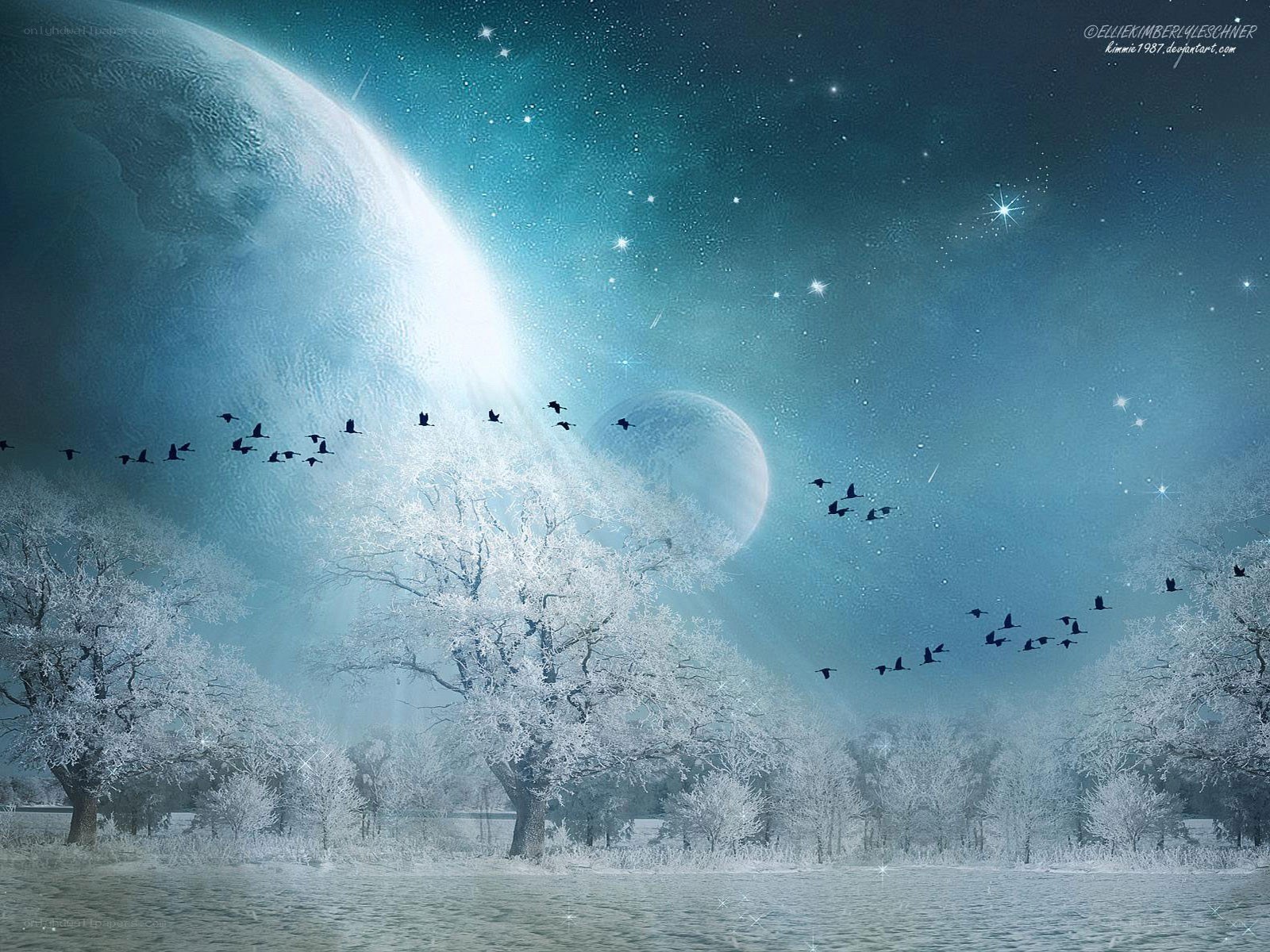 Winter night with flying birds