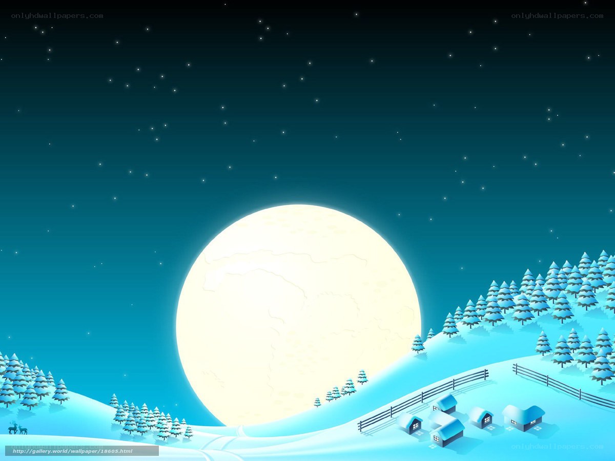 Winter night with full moon