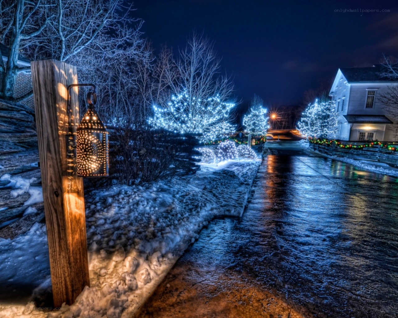 Winter night with holiday lights
