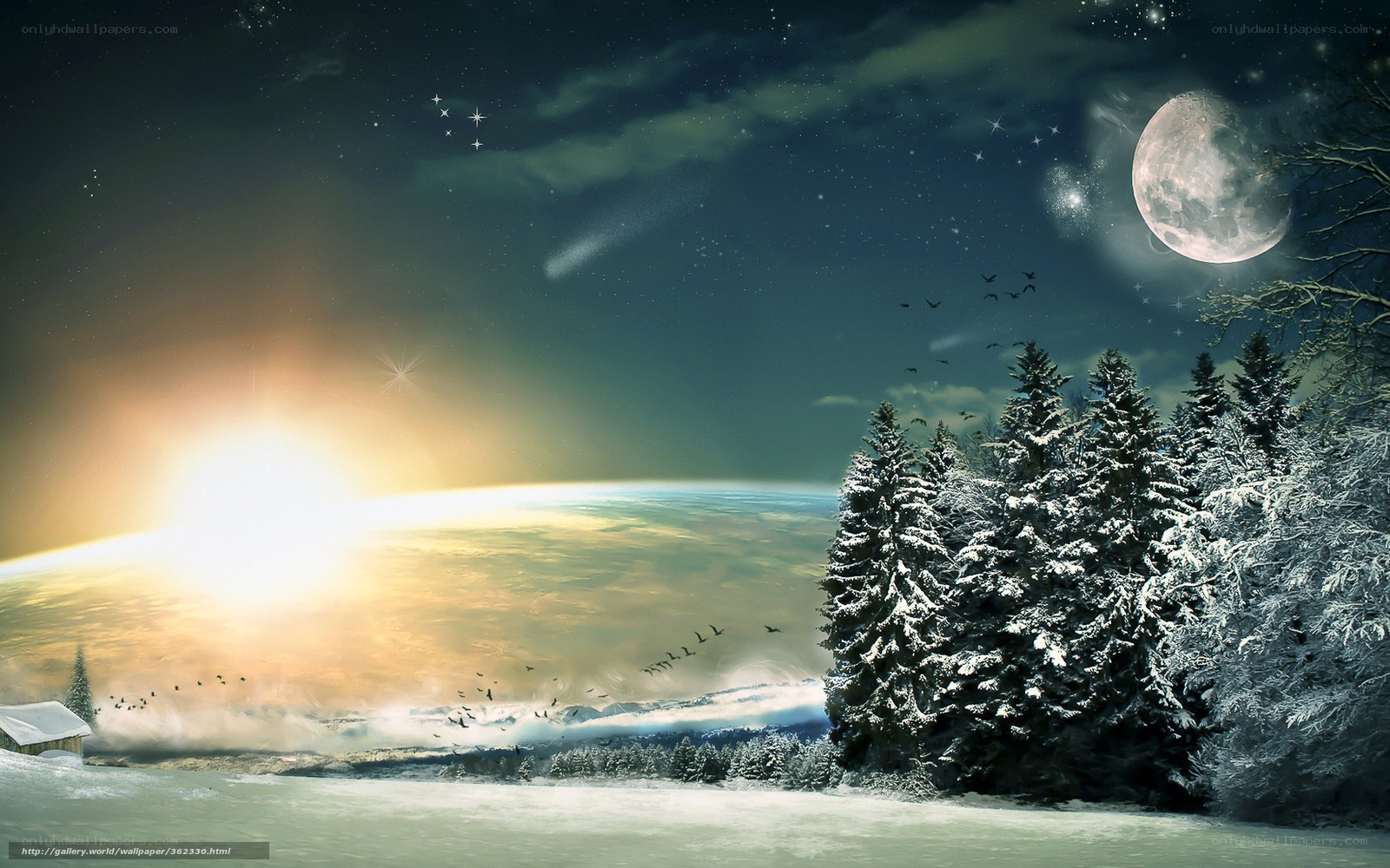 Winter night with moon and stars