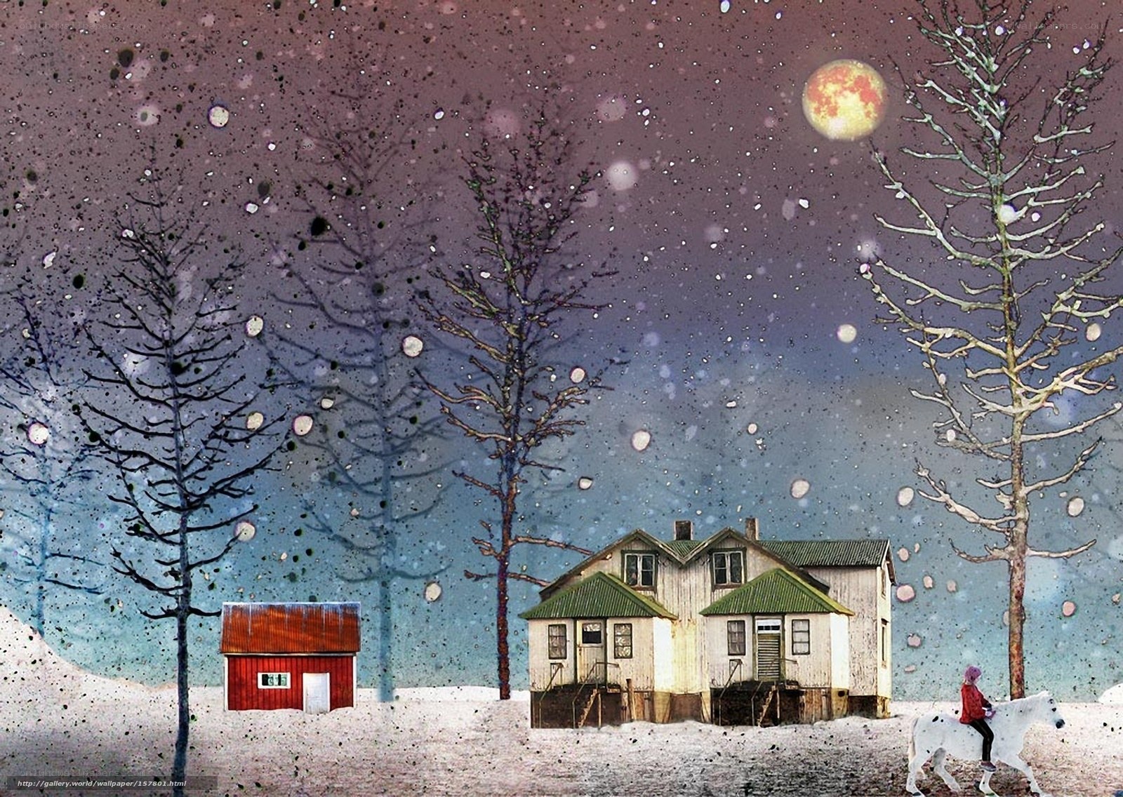 Winter night with rider