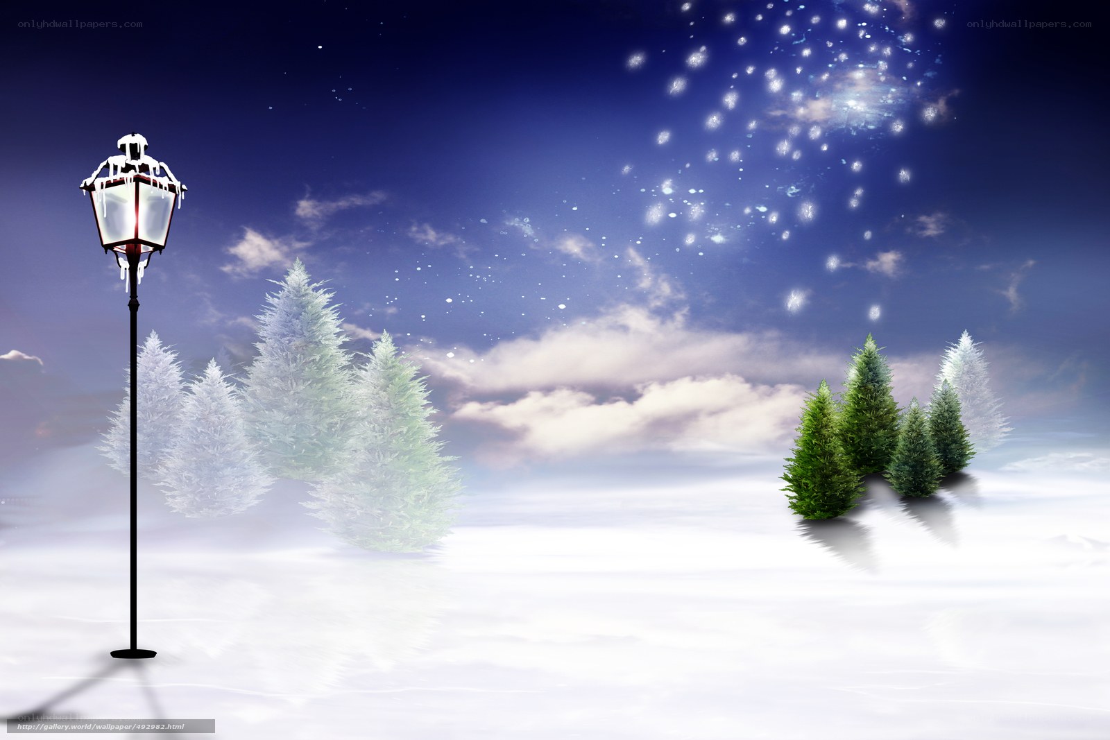 Winter night with snow and trees