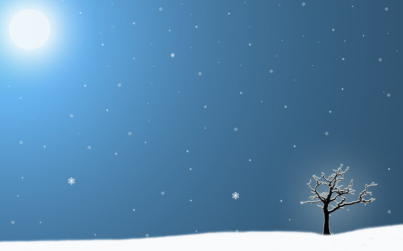Winter night with snowfall