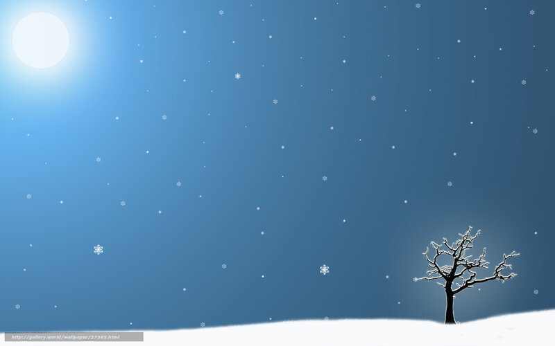 Winter night with snowflakes