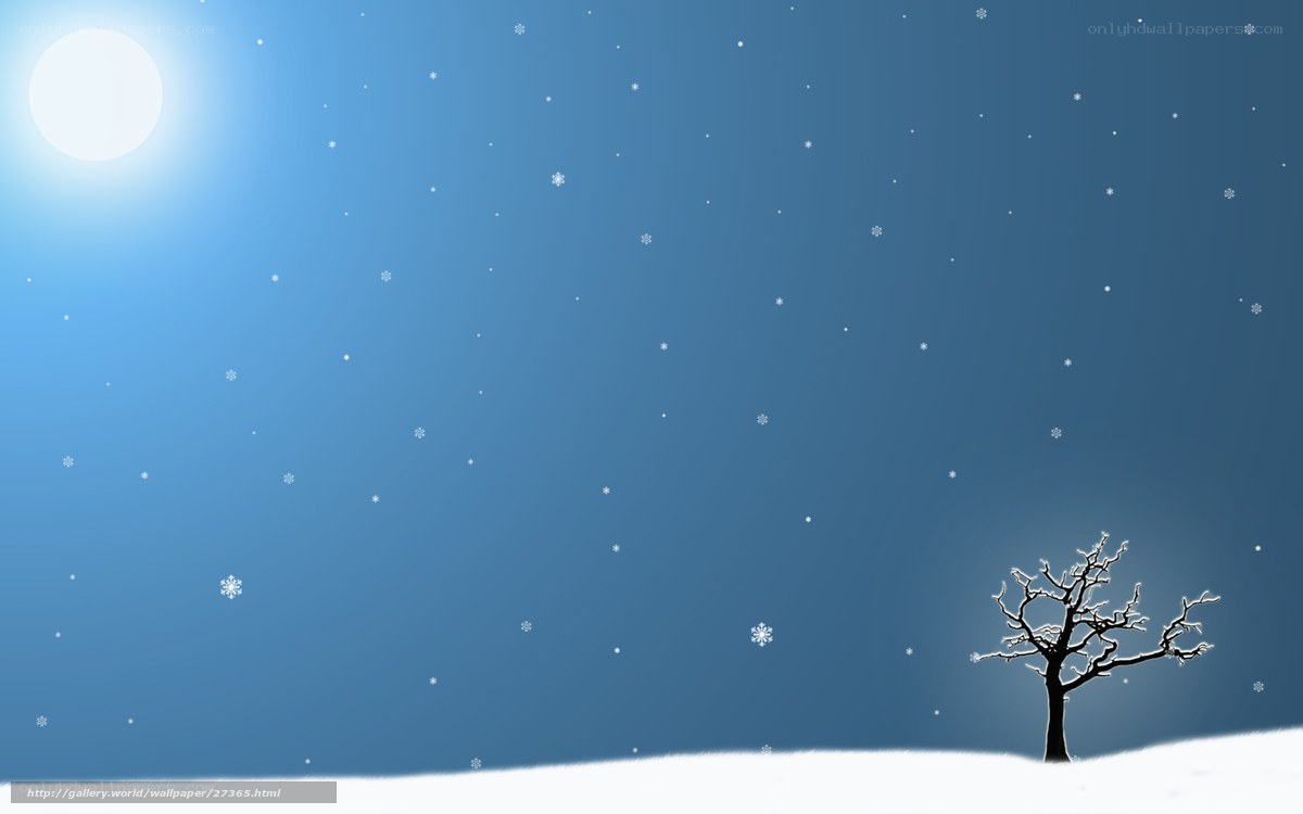 Winter night with snowflakes