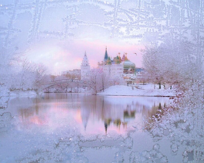 Winter palace reflection