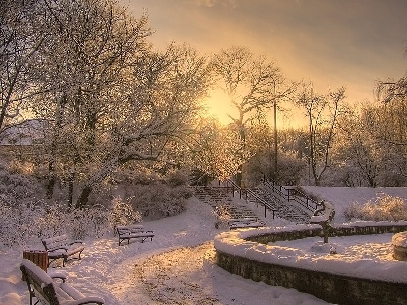 Winter park at sunset