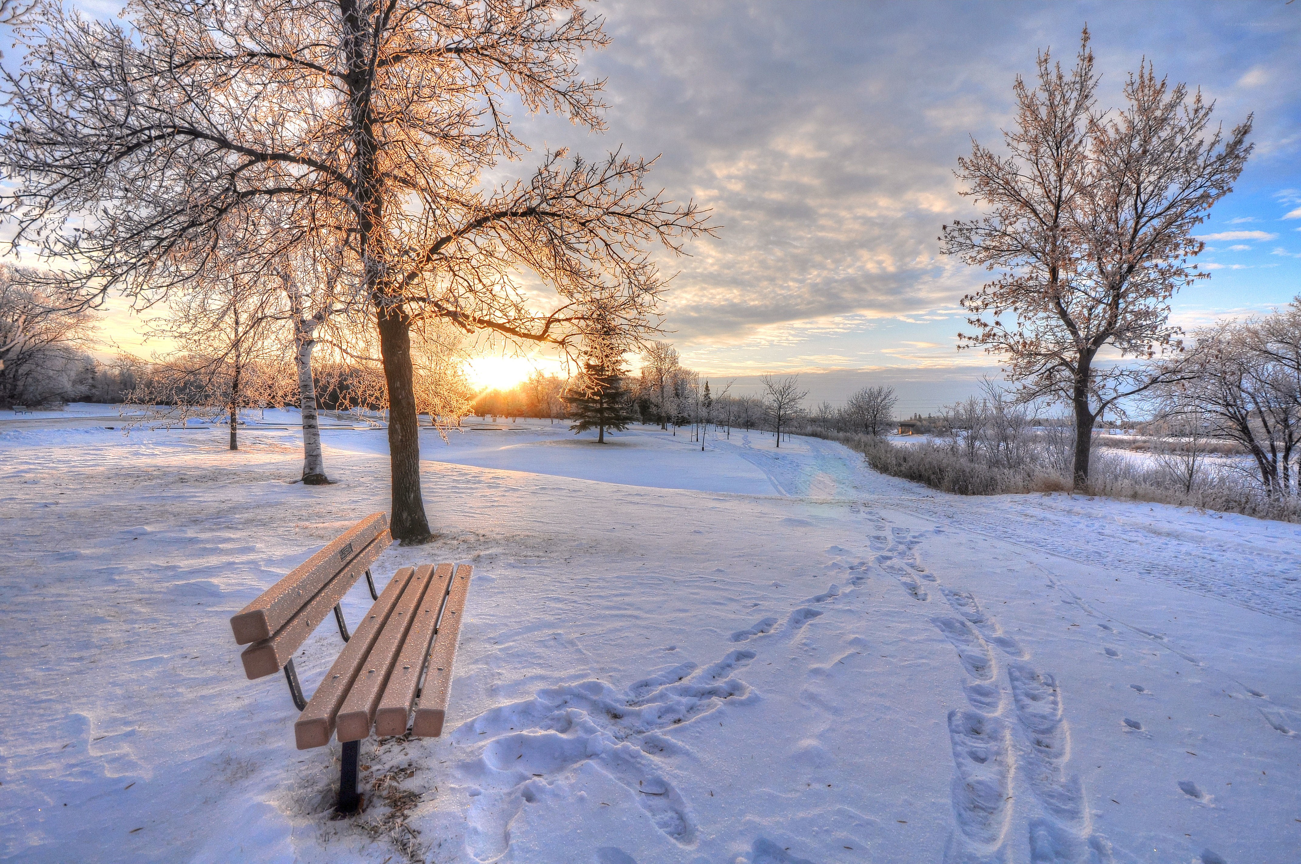 Winter park bench at sunrise