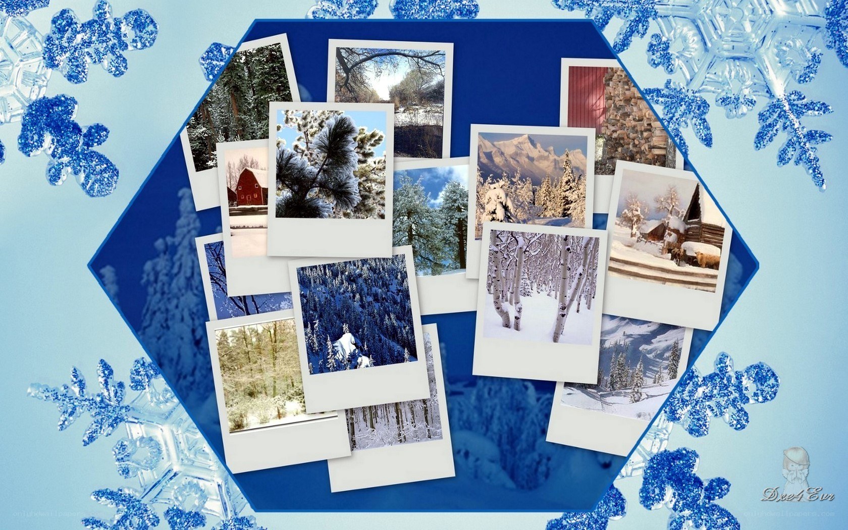 Winter photo collage