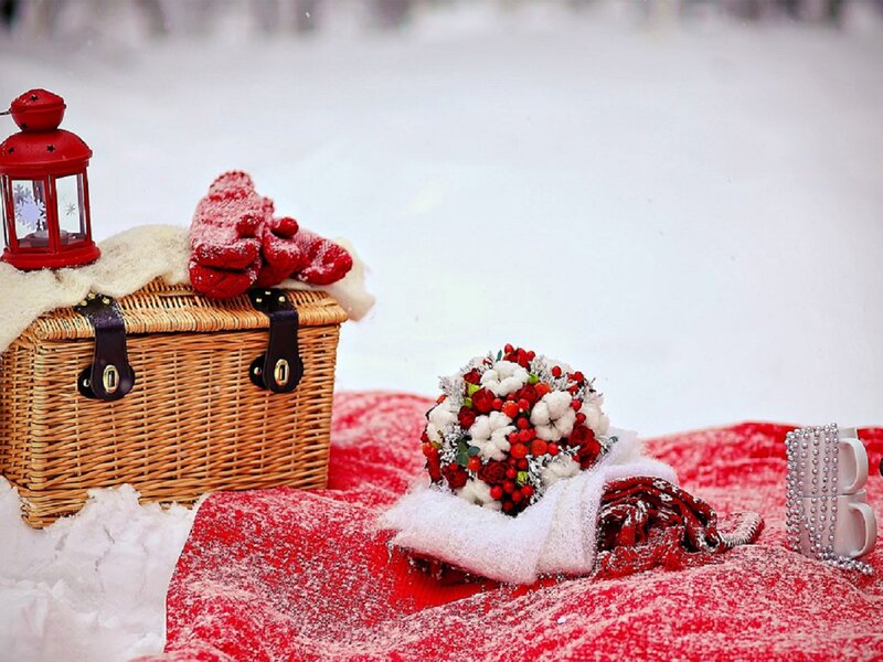 Winter Picnic Setup