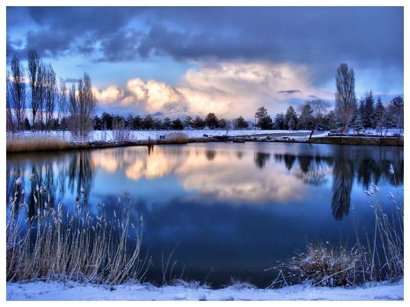 Winter pond at dusk