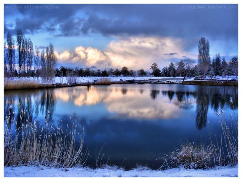 Winter pond at dusk
