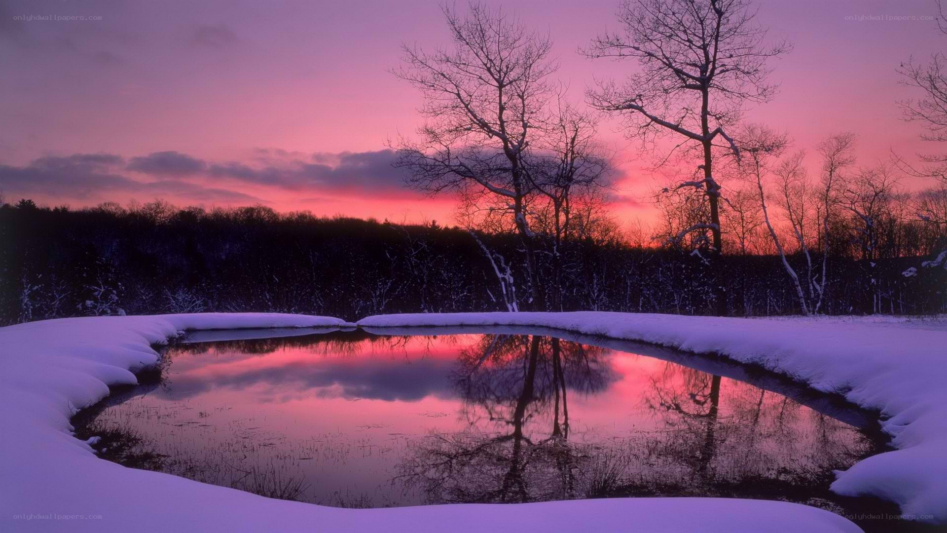 Winter pond at sunset