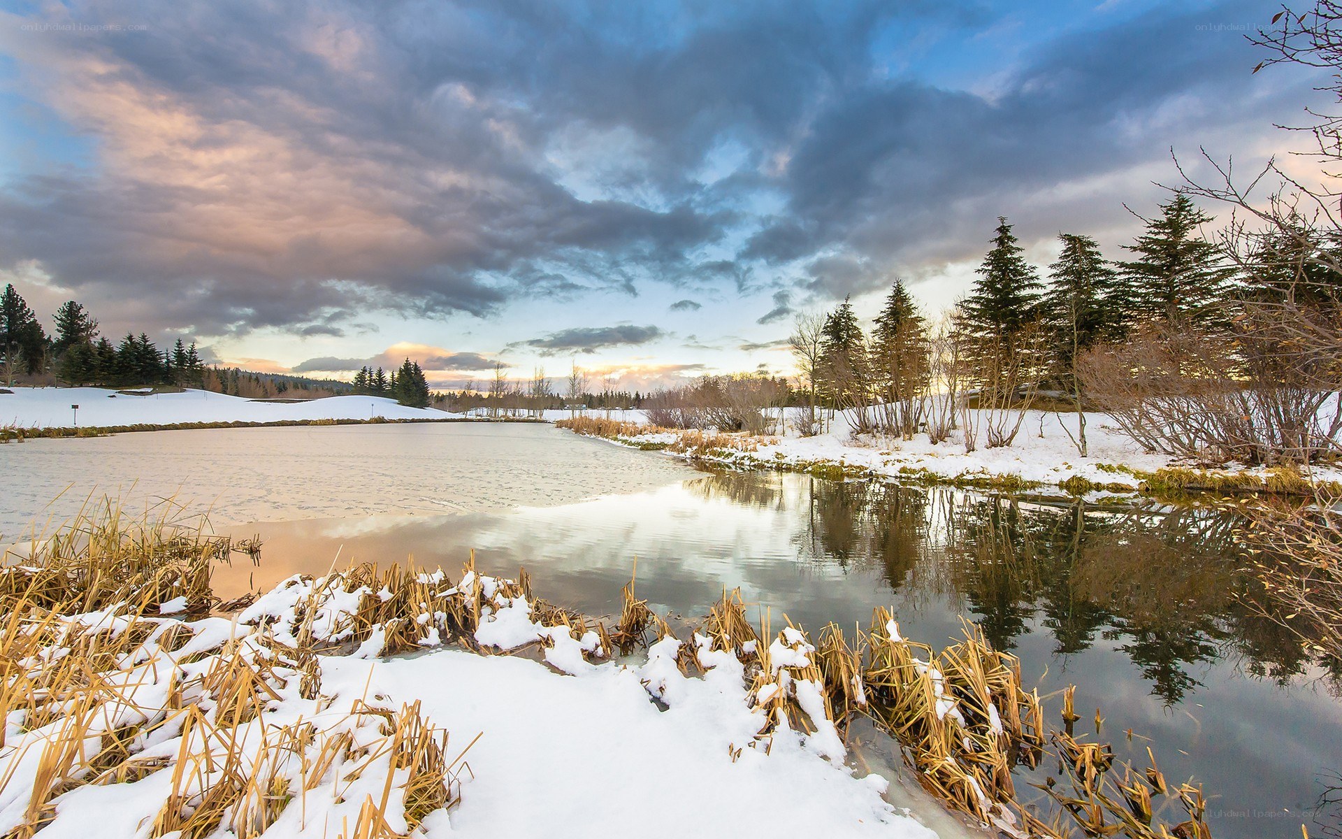 Winter pond at sunset