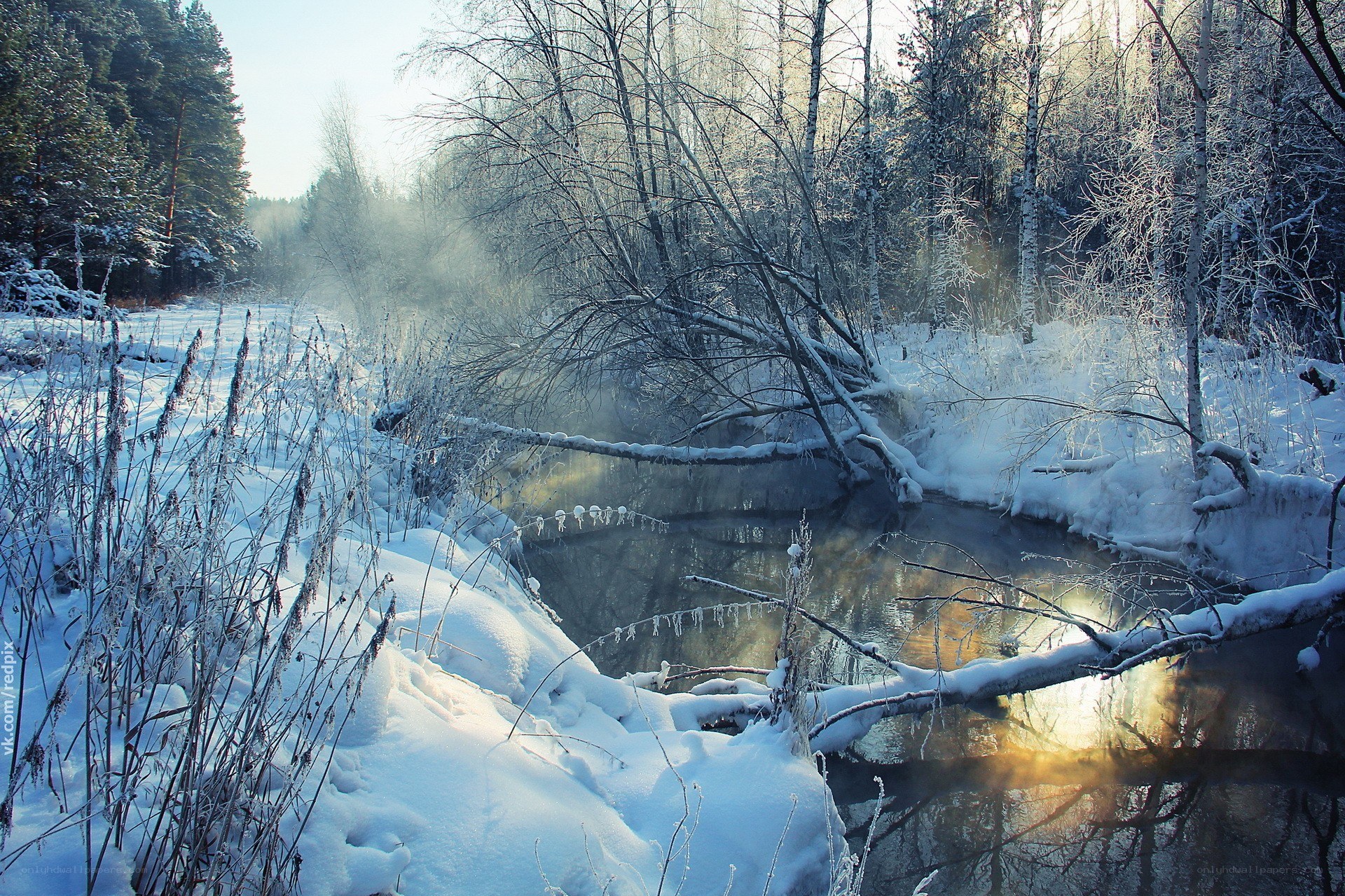 Winter river in snowy forest